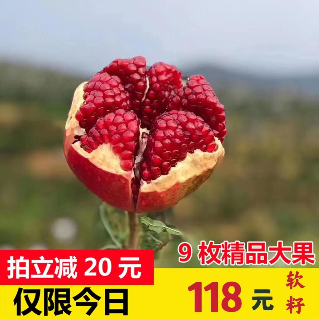 西安特产陕西临潼甜石榴软籽9个精品大果新鲜孕妇水果现摘包邮