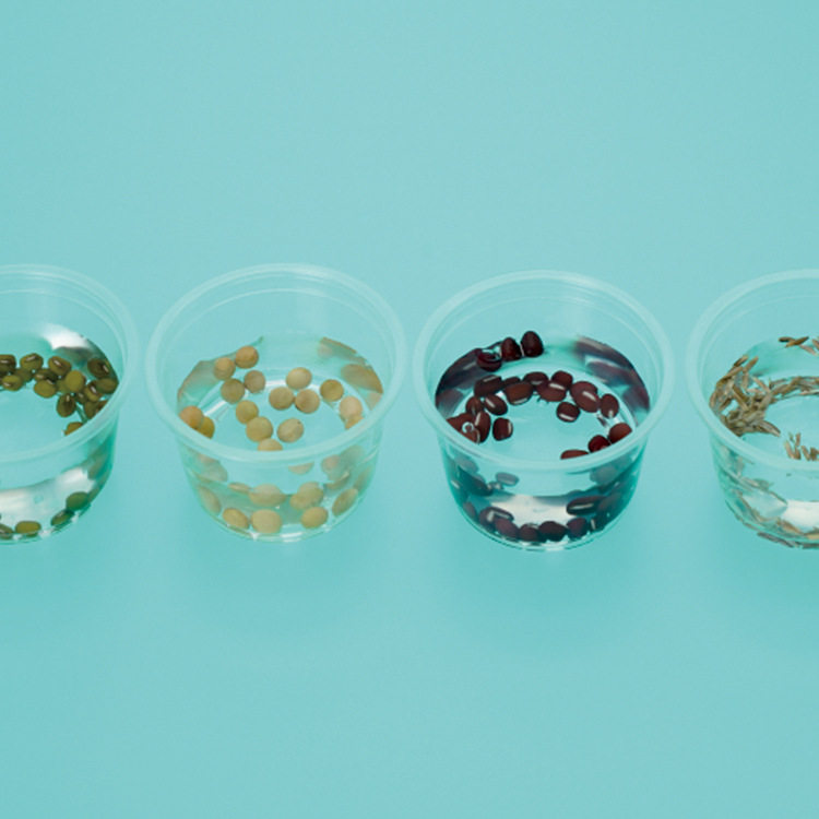 儿童科学实验玩具DIY手工种子发芽 科技小制作steam实验材料包,商务/设计服务,玩具/玩偶设计,淘宝优惠券,粉丝福利购,淘宝优惠卷