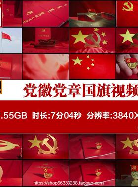 4K高清建党徽党章歌颂祖国爱国主义机关单位入党宣誓视频素材