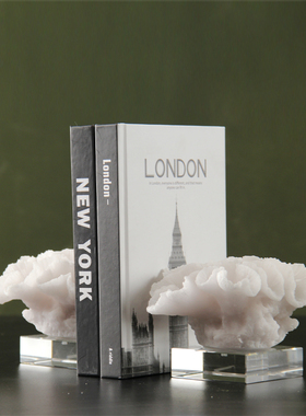 八度空间现代简约样板间售楼处书房书档高级感仿珊瑚摆件