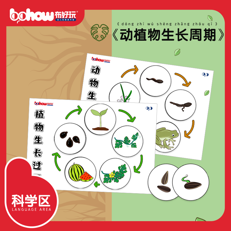 幼儿园科学区逻辑思维训练动植物成长周期观察生长过程早教玩具 布好玩教具 淘优券