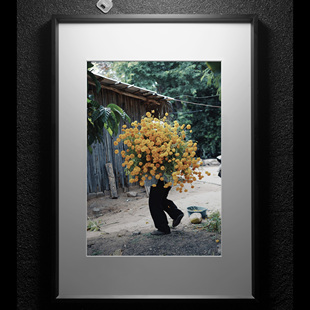 花卉装饰画 摄影师 piariverola 小众艺术客厅卧室摄影作品挂画