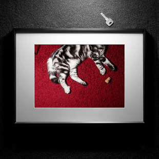 摄影装饰画《猫》玛格南杰罗姆·塞西尼的名作 客厅卧室艺术挂画