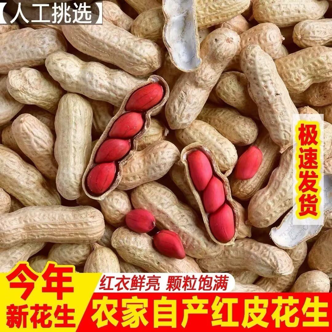 高产红皮花生壳生四粒红花生自种