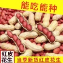 23年新货现炒现卖原味炒花生农家铁锅炒熟花生带壳新鲜炒红皮花生