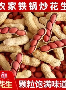 2025年新货现炒现卖原味炒花生农家铁锅炒熟花生带壳红皮花生炒货