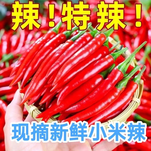 小米辣椒5斤特辣红辣椒朝天椒泡