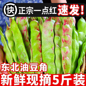 东北油豆角新鲜现摘蔬菜黑龙江一点红油豆角东北特产5斤整箱包邮