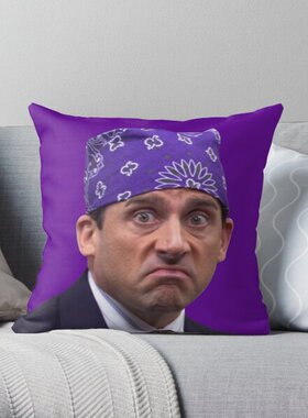 美剧the office办公室Mike周边抱枕套靠垫睡觉dunder mifflin贴纸