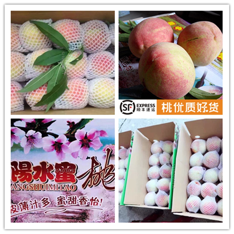 穆阳水蜜桃水蜜桃5000g福建福安