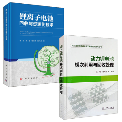 【全2册】动力锂电池梯次利用与回收处理电力废弃物资源化及无害化应用技术丛书锂离子电池回收与资源化技术动力电池资源应用书籍