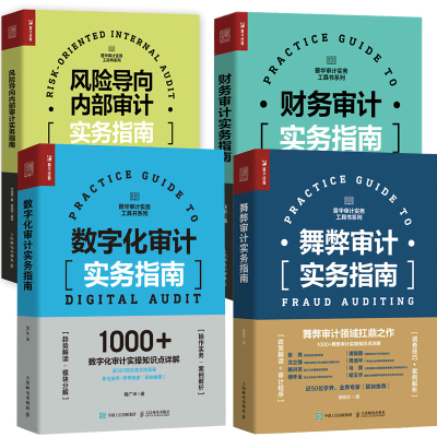 【全4册】风险导向内部审计实务指南+数字化审计实务指南+财务审计实务指南+财务审计实务指南实操知识点详解数字化审计实操案例