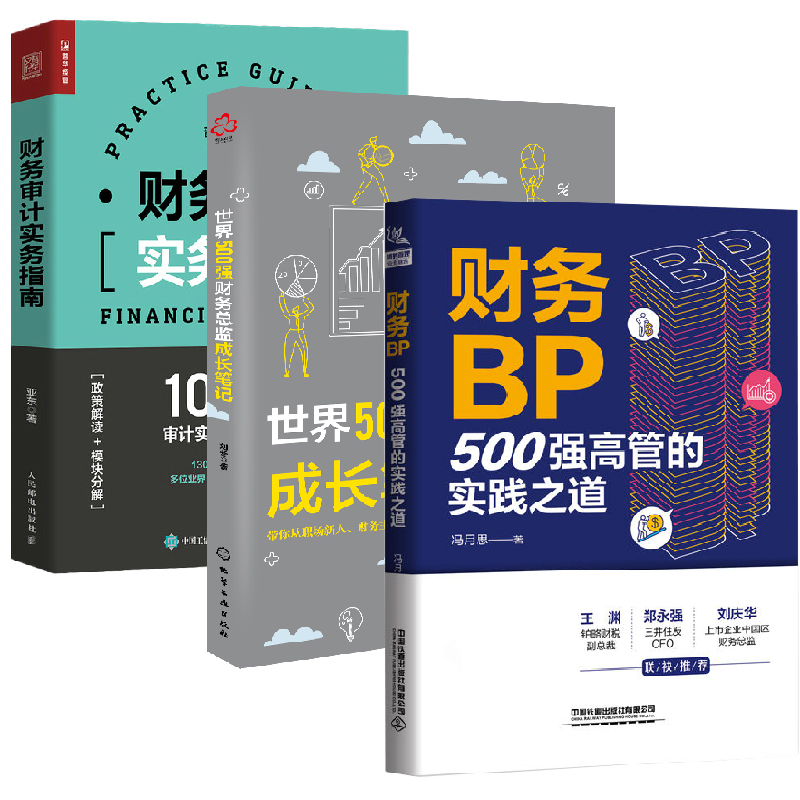 【全3册】财务BP500强高管的实践之道+财务审计实务指南+世界500强财务总监成长笔记财务分析实务成本核算会计实务做账教程经营书