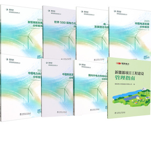 8册中国新能源发电分析报告2023中国电力供需分析报告电 氢协同新型储能发展分析报告世界500强电力企业比较分析报告