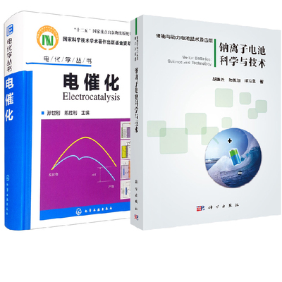 【全2册】钠离子电池科学与技术+电化学丛书电催化新能源电动车电池材料电芯储能原理技术性能物理电化学能源基础理论研究应用