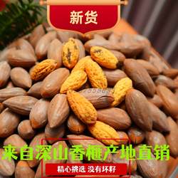 诸暨香榧子2025年新货零食坚果香妃干果老树香榧子净含量淡盐原味