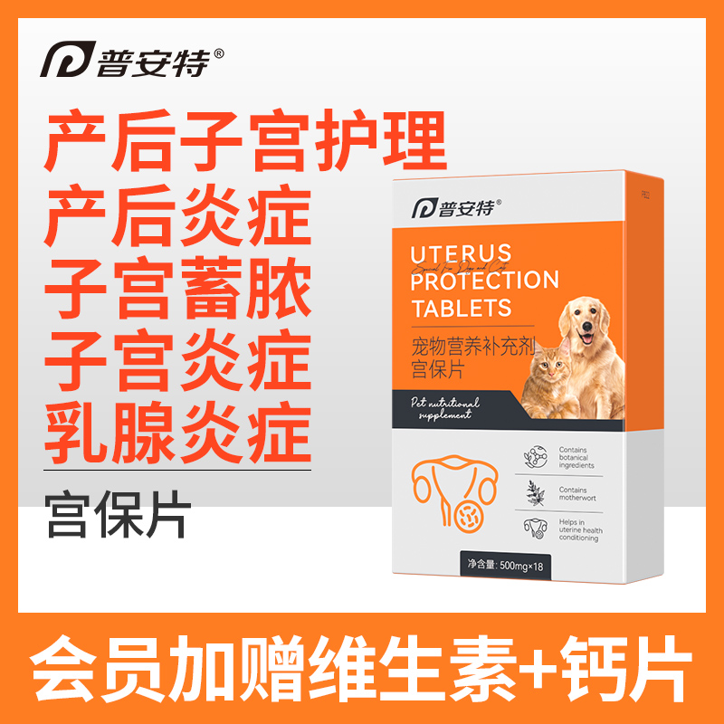 普安特宫保片母猫咪产后下奶护理宠物狗狗子宫蓄脓乳腺炎症排脓清