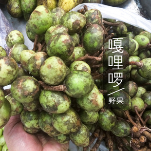 云南傣味特产嘎哩啰热带酸水果开胃新鲜煮鱼煮猪脚做蘸水喃咪2斤