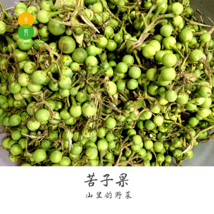 云南ye菜ye果苦子果傣味小苦果苦茄苦凉小圆茄青茄蘸料油炸1000g