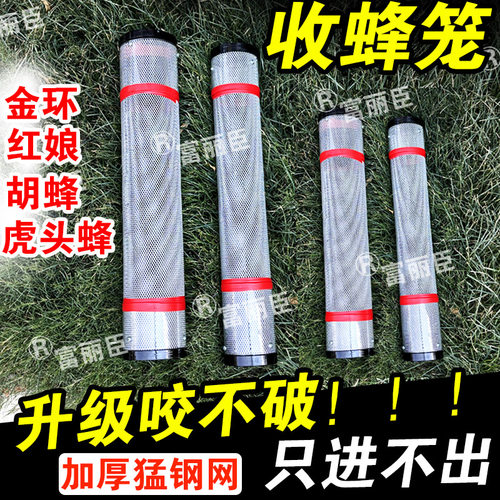 抓金环黑尾红娘地蜂笼野外捕收蜂