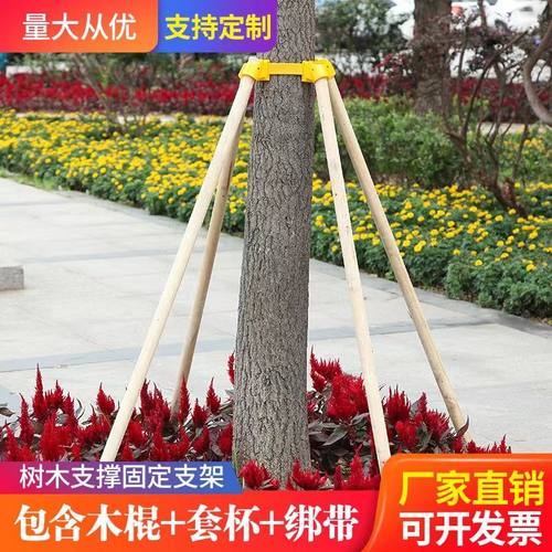 树木支撑架果树木棍固定器绿化树苗撑杆大树支架苗木树干护树防风
