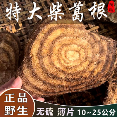 野生葛根10~20公分特级冬季新品