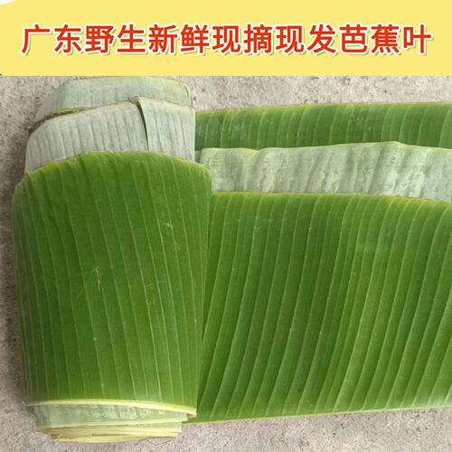 广东省野生芭蕉叶包糍粑菜肴摆盘