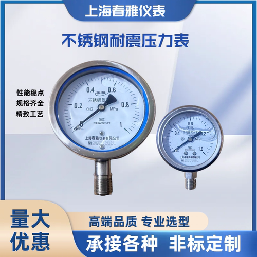 耐酸碱Y-100BF不锈钢耐震压力表