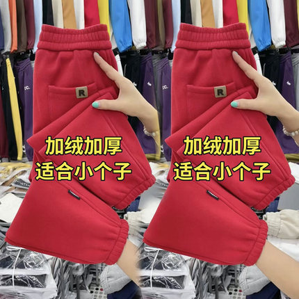 新年红色小个子加绒加厚卫裤女高腰显瘦束脚裤宽松百搭八分哈伦裤