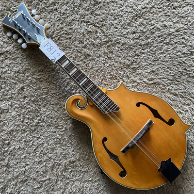 美国安吉利克 D'Angelico 曼陀铃吉他电箱云杉枫木全单板库存微瑕