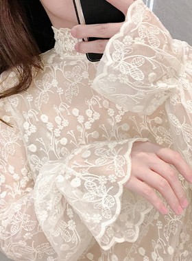 蕾丝打底衫女秋冬季白色宽松小衫毛衣内搭纱衣半高领长袖网纱上衣