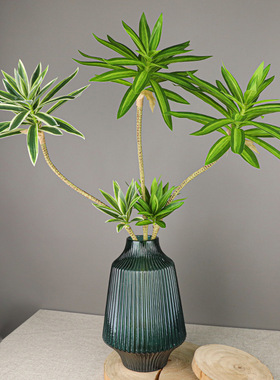 仿真植物 高档家具装饰绿植 富贵竹 过胶3D热带装饰百合单支 绿叶