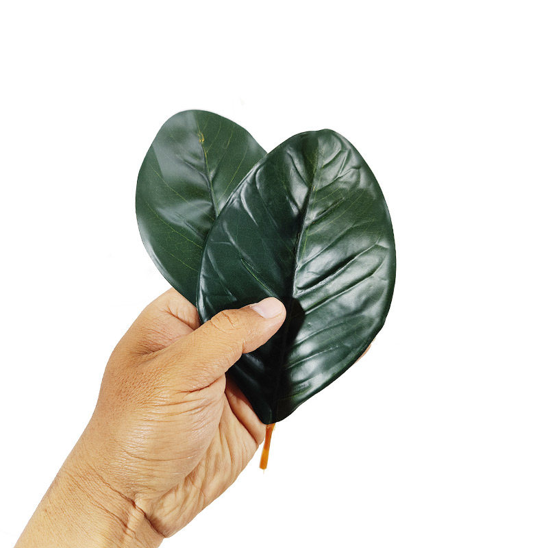 高仿真伊蔻过胶活动签到玉兰绿叶