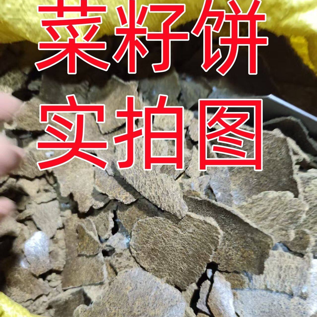 正宗菜籽饼批发钓鱼现榨纯天然菜籽油饼有打窝料菜籽油枯粉块种菜