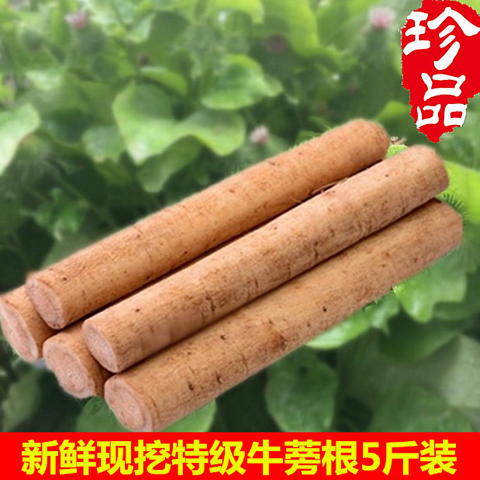 2024新鲜现挖牛蒡根特级东洋参蔬菜徐州两年生牛蒡根净重5斤包邮-封面