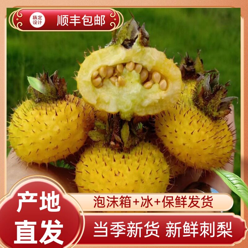 新鲜现摘超多维C泡酒养生