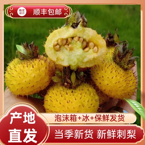 新鲜现摘超多维C泡酒养生