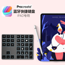 Procreate快捷蓝牙无线键盘可充电带背光超薄便携IPAD专用FUNKING