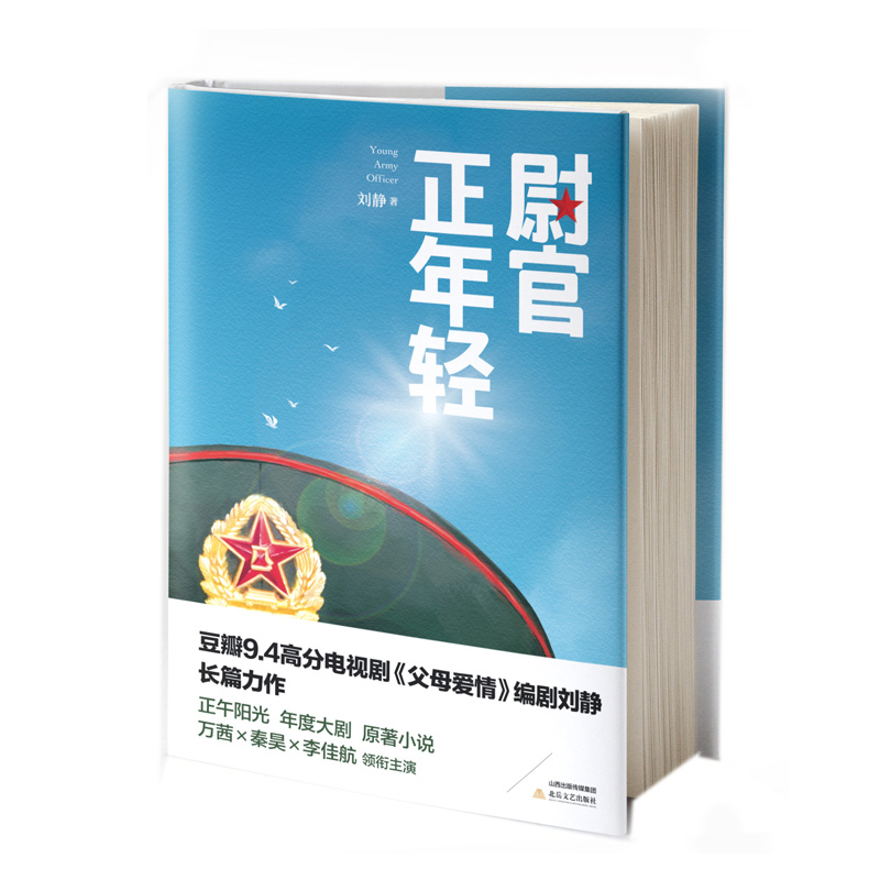 我们正年轻 原著小说 军旅 爱情