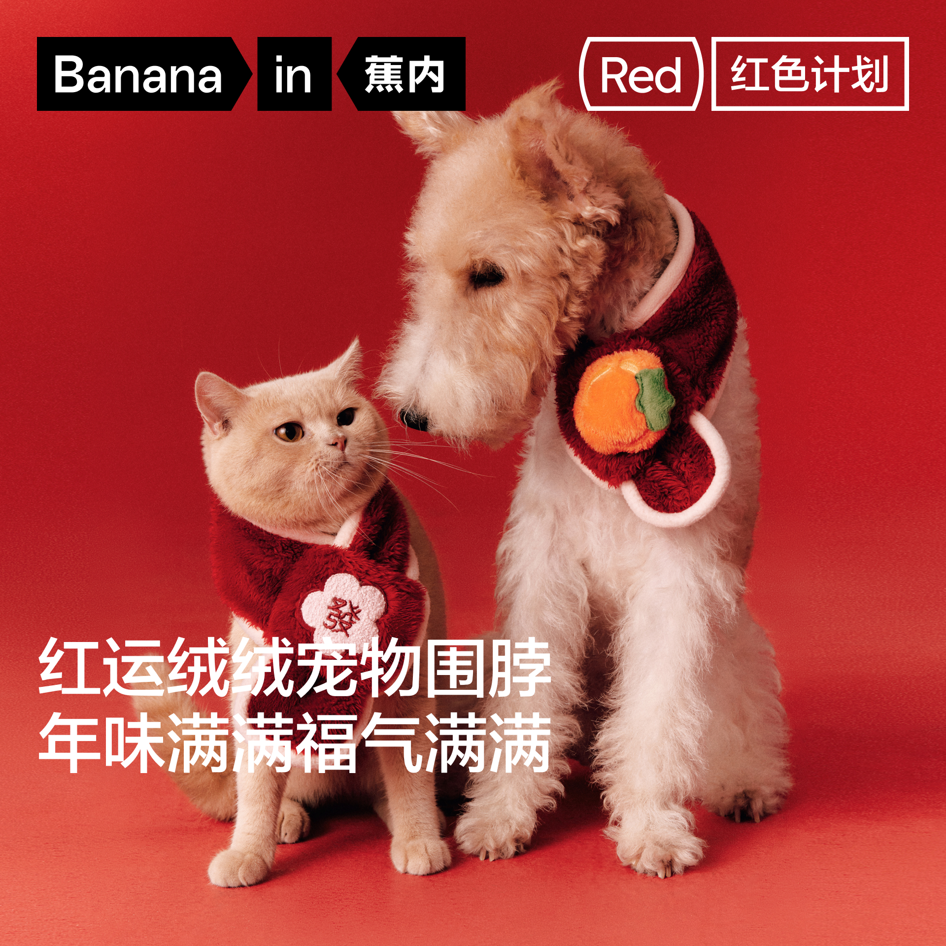 蕉内红色计划520Home围脖