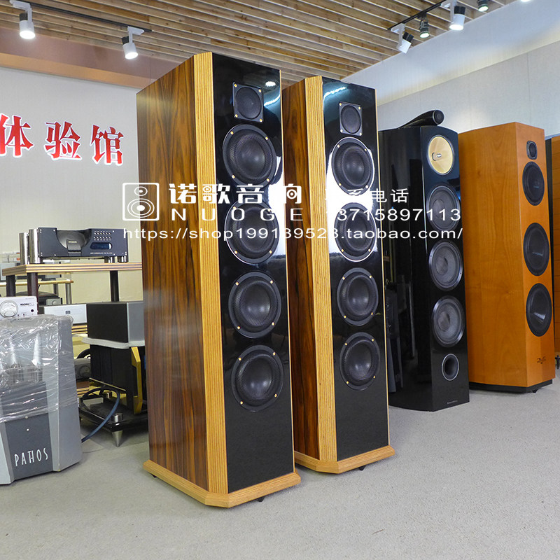 比利时Venture威卓DS4MK3落地箱DM3音箱专业喇叭hifi发烧进口正品