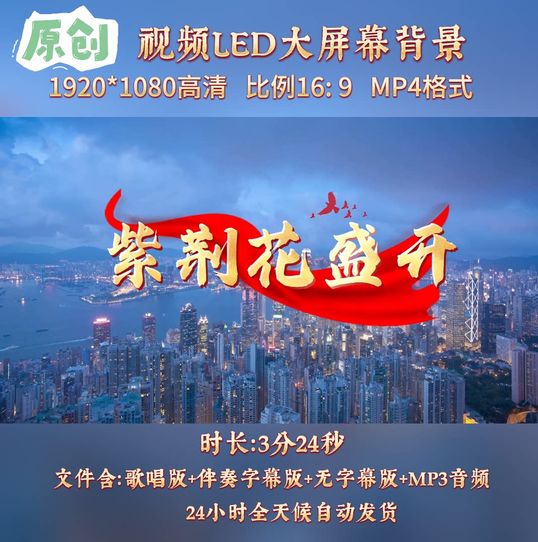 原创-紫荆花盛开歌曲配乐伴奏MV与LED舞台高清大屏幕背景视频素材