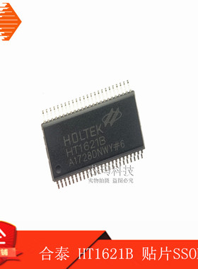 HT1621B 贴片SSOP-48 RAM映射LCD驱动器 液晶台湾芯片 全新合泰