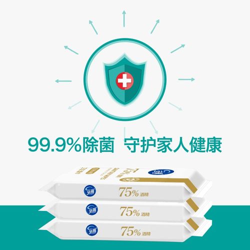 圣雅75度酒精独立便携装消毒湿巾10包100片随身杀菌学生旅行湿巾