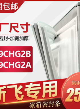 BCD-219CHG2B 199CHG2A新飞冰箱密封条门胶条通用密封圈强磁封条
