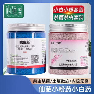 仙葩小白药小粉药套装组合多肉蚧壳虫月季小黑飞呋虫胺小蓝杀虫剂