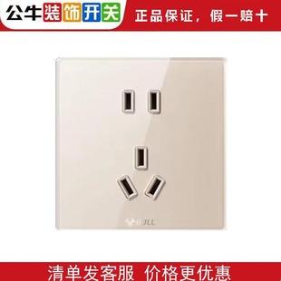 公牛G50金色开关插座大面板一开五孔86型暗装 16A家用墙壁五孔USB
