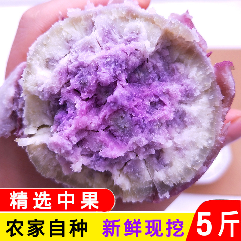 新鲜地瓜冰淇淋红薯正宗一点红番薯农家自种粉糯香甜花心薯粗粮