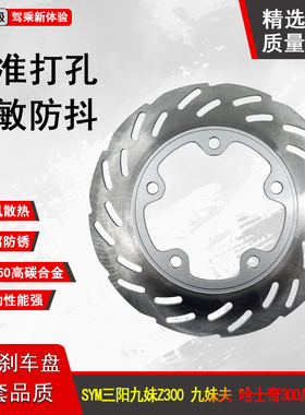 适用SYM三阳巡弋300JOYMAX/F Z300九妹300九妹夫300后刹车盘碟刹