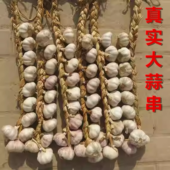 真实大蒜串装饰挂件大蒜辫农家乐酒店农作物挂饰拍摄五谷丰登